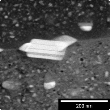 FIB-SEM 中的 R-STEM 探测器在 30 keV 下从含锌和镁的铝合金制备的 TEM 薄片上捕捉到的高角度暗场场 STEM 图像