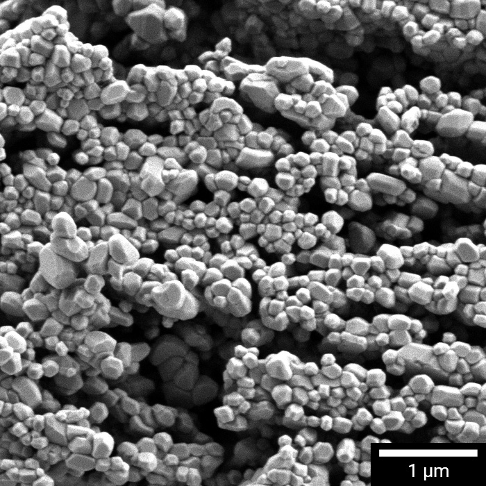 镍基粉末颗粒的 SEM 内部结构