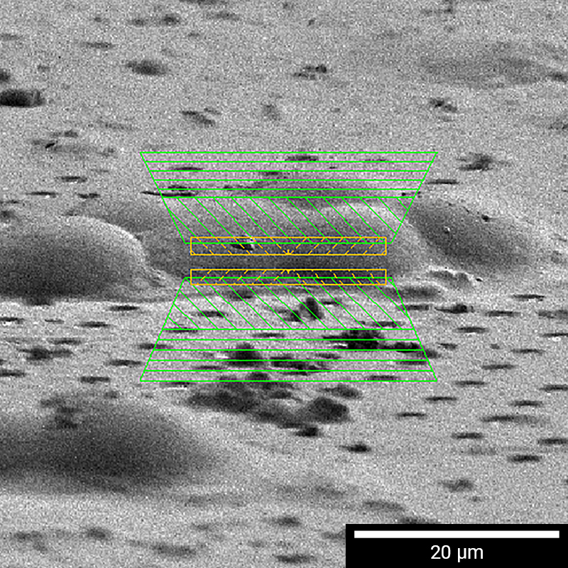 TEM-prep-CRYO-img-800x800px-scalebar